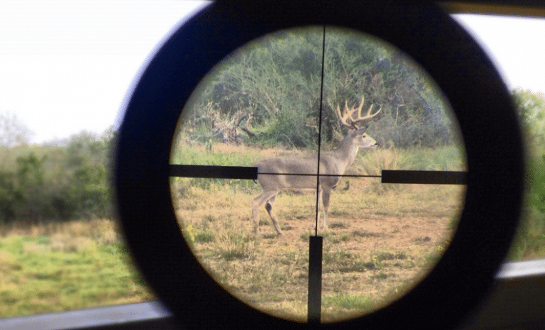 8 Best Aiming Reticles For Hunting Applications